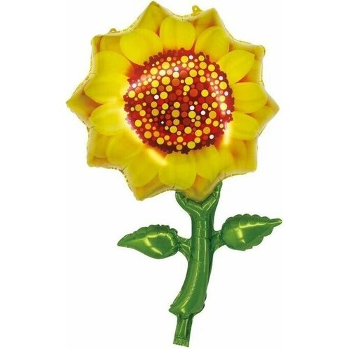 ���� ��� (33'/84 ��) ������, ���������, ������, 1 ��. ������ ������