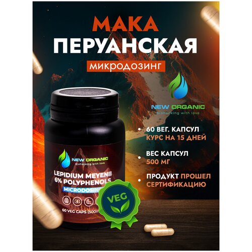 ���� ���� ����������, 60 ������ �� 500�� ������ ������