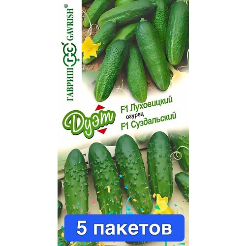 ���� ������ ������ ������ 