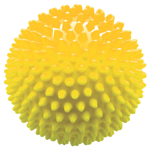 ���� ��������� ��� ������� ����� ���� 85 �� (�������), ������ ������ ������