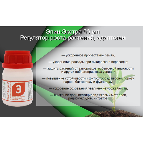 ���� ����-������ 50 �� ��������� ����� �������� ��������� ������ ������