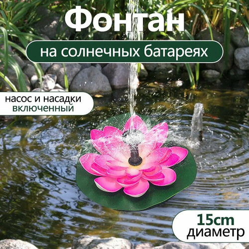 ���� ������ ��������� �� ��������� ������� / ������ ������� ������������ ������ ������