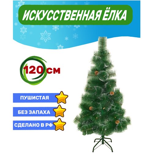 ���� ������������� ����/ ��� �������������/ ��� � ������� � �����/ ����� �������������/����� � �������/ ���������� � ������� � �����, �� ���, 120 �� ������ ������