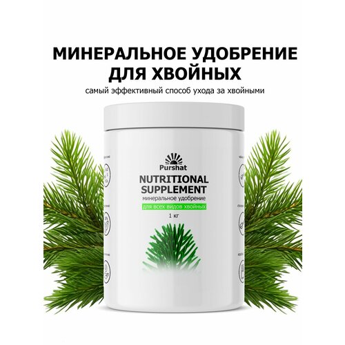 ���� ��������� ������ ����������� ��� ������� 1 �� ������ ������