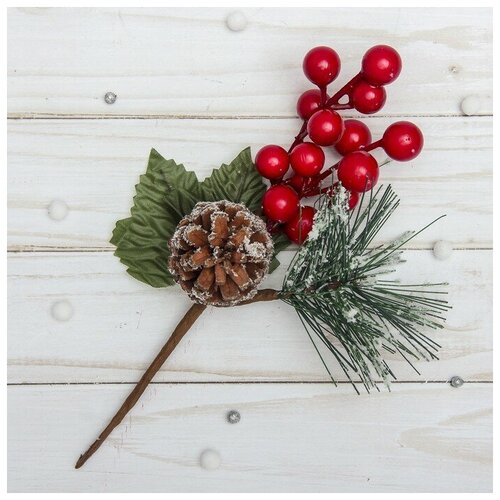 ���� ����� ������ ���������� ������ ����� 3535525, 20 ��, �������/�������/���������� ������ ������