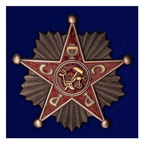 ���� ���� 