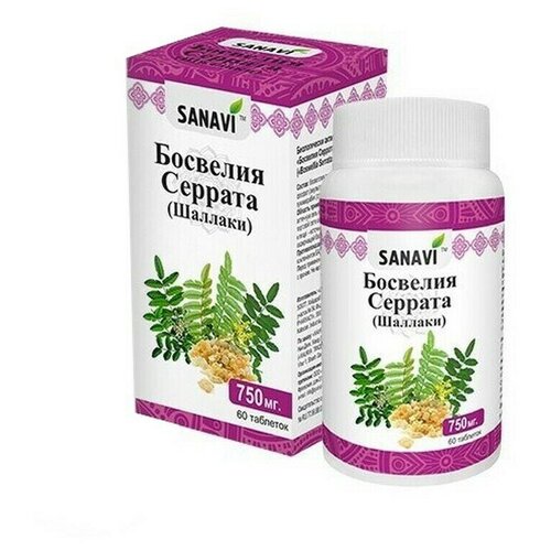 ���� Sanavi �������� ������� Sanavi, 60 �������� ������ ������