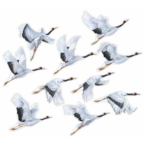 ���� ����� ��� ���������� ��������� �� 9 ��� ���� ������ 