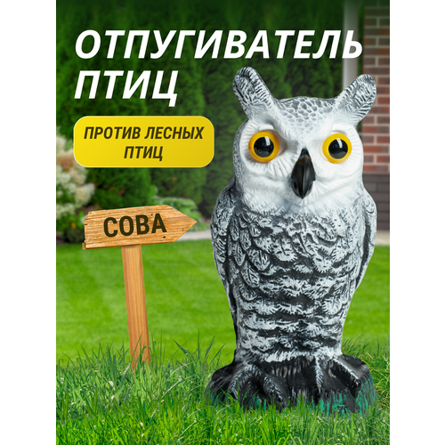 ���� ������������ ���� ������� ���� ������ ������