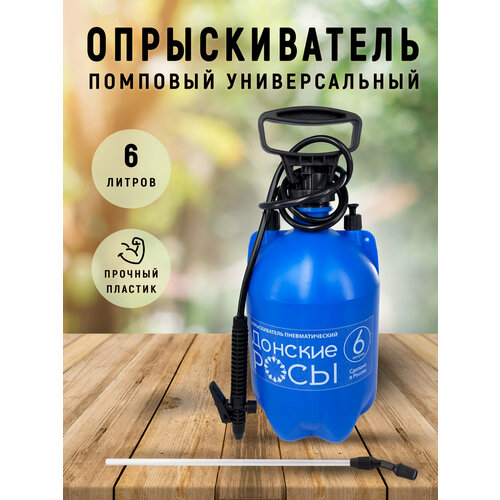 ���� ������������� ������� �������� 6 � ������ ������