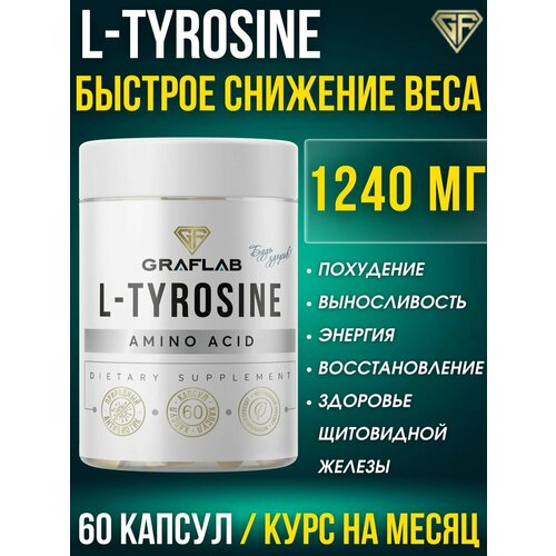 ���� �������, ��� ���������, 1240 ��, 60 ������ ������ ������