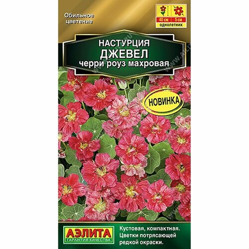 ���� ������ ��������� ������ ����� ���� ����, ����������, (������) 4�� ������� ����� ������ ������