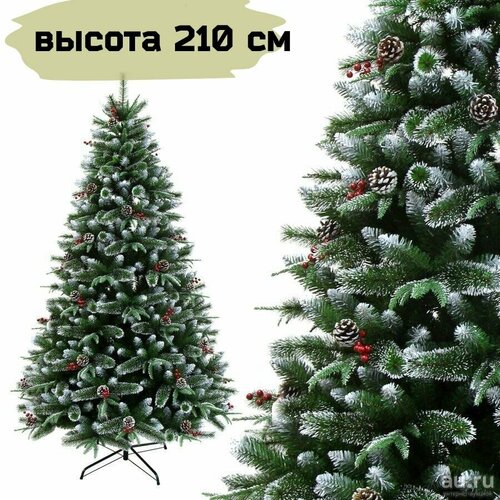 ���� ������������� ���� ����������� � ������� � �������, �����+ ���, ������ 210 �� ������ ������