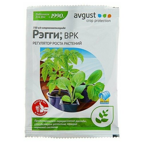 ���� ��������� ����� �������� �����, 1 �� ������ ������