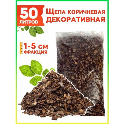 ���� ���� ������������ �������. �����-�����������, 50 � ������ ������