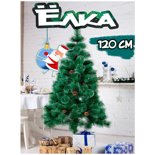 ���� ���� ������������� � ������� � �����, 120�� ������ ������