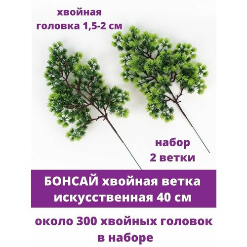 ���� ������, �������/������ ����� �������������, ����� ������, ��������������, ����� 2 �����, 40 �� ������ ������