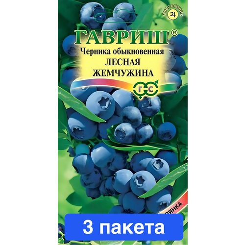 ���� ������ ������ ������ 