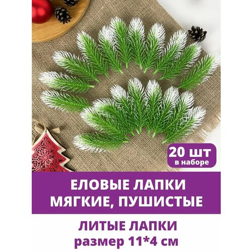 ���� ������ �����, ������ ����� �������������, ����-�������, ����� ������ 11 ��, 20 ���� ������ ������