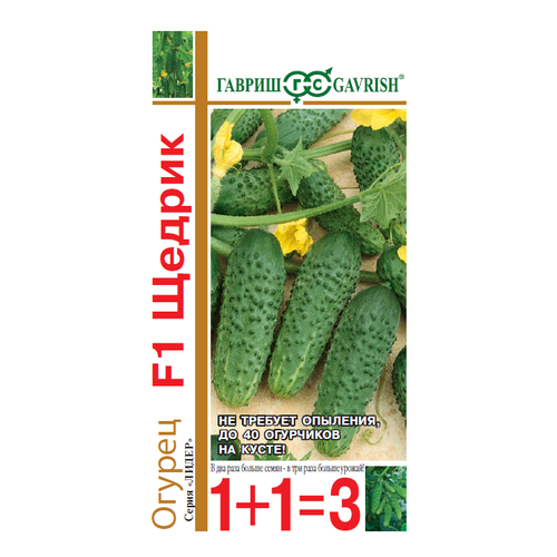 ���� ������ ������ ������ F1 20�� ������������������ ������ (������) 1+1 ������ ������