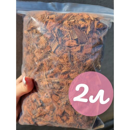 ���� ��������� ����� ��� ������� 2�. ����� ��� ������. �������� ��������� ��� ��������. ������ ������