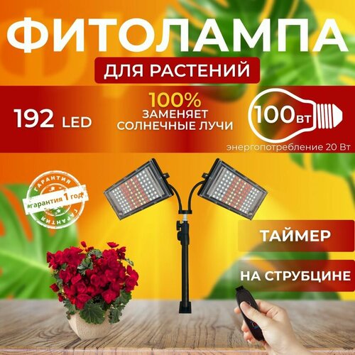 ���� ��������� ��� ����������� �������� ������� ������ ������, �������������� ������������ �� ������������ �������, ����� 2 ���������� ��� ������, �������������� ������, ������ ������ ������