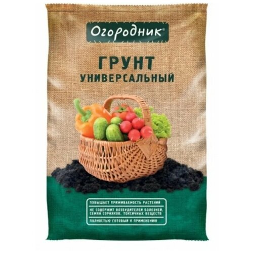 ���� ����� ����� ��������� ������������� 22� ������ ������