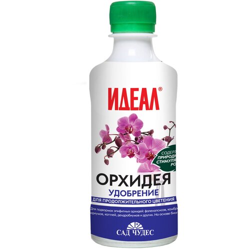 ���� ������� (0.25 �) ��������� ������ ������������ ����������� �������� ������ ������