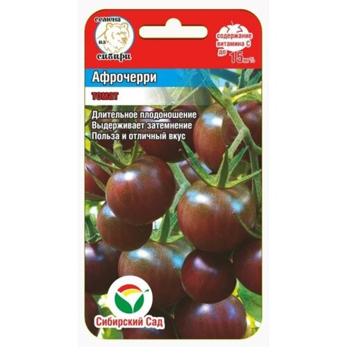 ���� ������ ����� ����-����� 20�� ����� (��������� ���) ������ ������