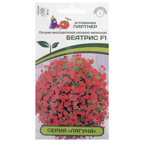 ���� ������ ������� �������������� ��������-��������� 