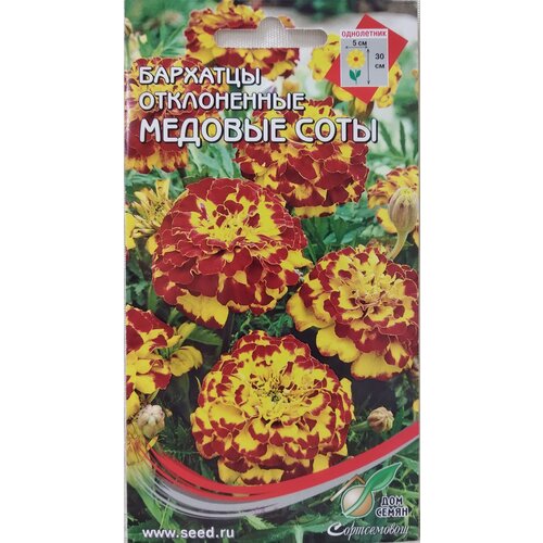 ���� �������� (������� �����������) ������� ����, 80 ����� ������ ������