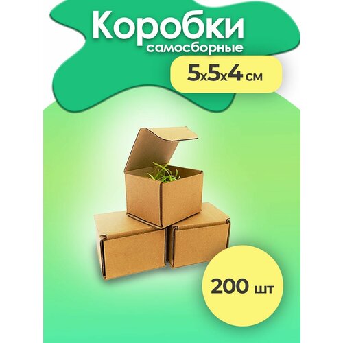 ���� ������� ��� �������� ��������� ������ ������