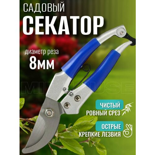 ���� ������� ����������� ������ ������