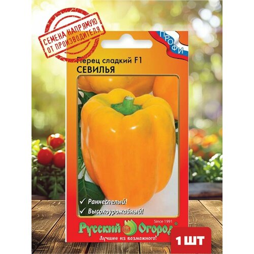 ���� ������ ����� ������� ������ 