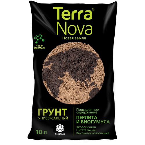 ���� ����� ������������� ����� ����� (Terra Nova) 10 �. ������ ������