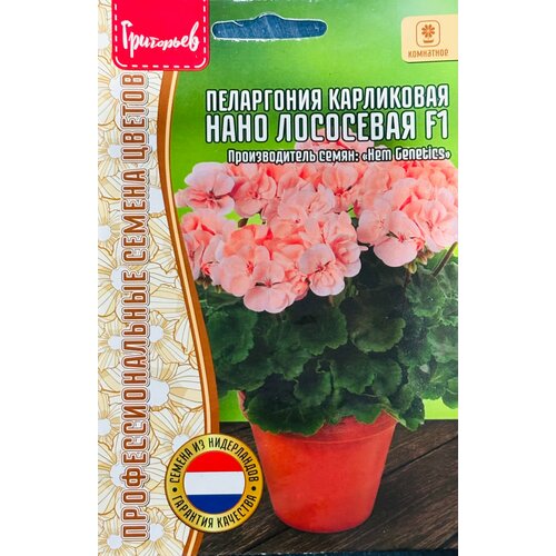 ���� ������ ���������� ���������� 