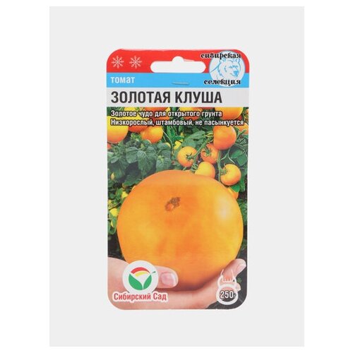 ���� ������ ����� ������� ����� 20�� ��� (��������� ���) ������ ������