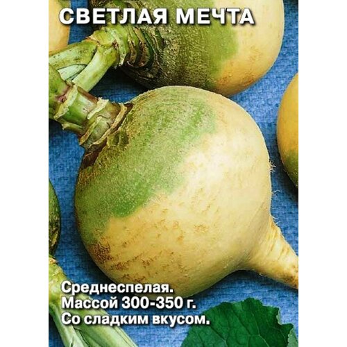 ���� ������ ������ ������� ����� ������ ������