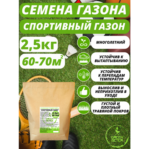 ���� �������� �����, ������ �������� ����� 2,5 �� ������ ������