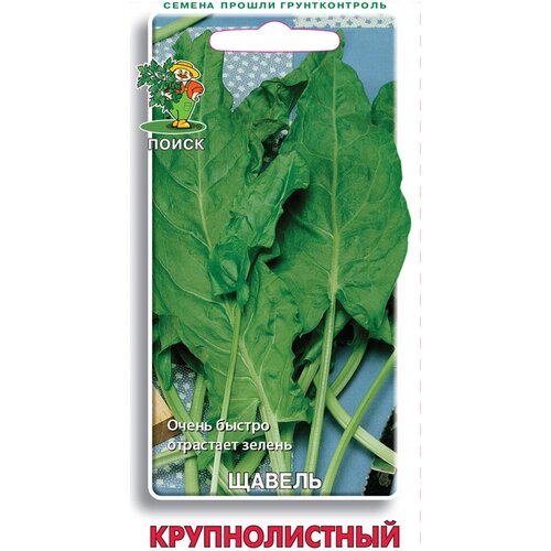 ���� ������ ������ ������������� 0,5 ��. ������ ������