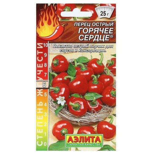 ���� ������ ����� ������ 