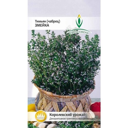 ���� ������ (������) ������. ������. ����������� �����-�������� ������������� � ���������� ��������. ������������ ��� �������� ������ ������