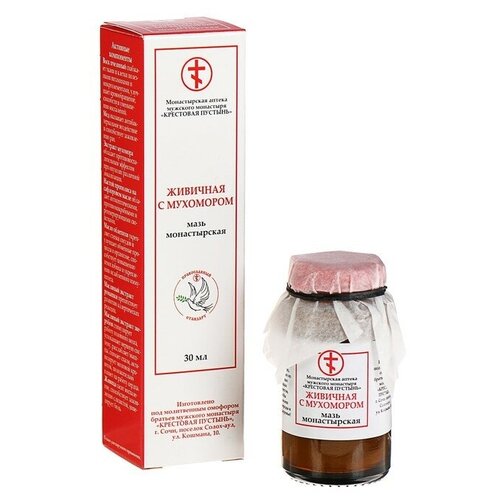 ���� ���� ������ ������������ �������� � ��������� (��������� �������), 66 �, 30 �� ������ ������