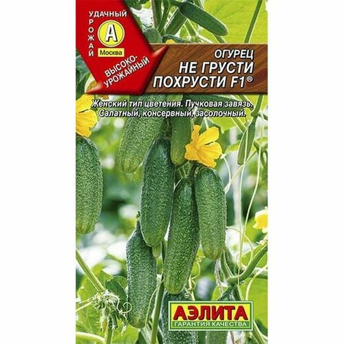 ���� ������ ������ �� ������ �������� F1 ��, �����������, (������) 10�� ������ ������