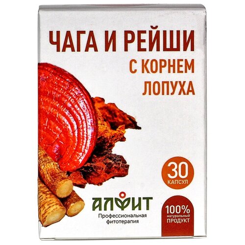 ���� ���������� ����� ���� � ����� � ������ ������ ����., 12 �, 30 ��. ������ ������