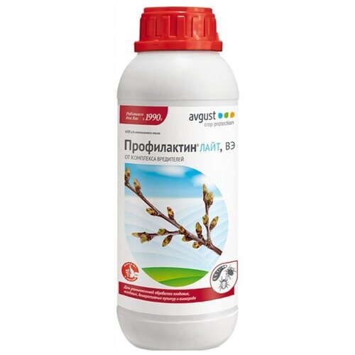 ���� Avgust �������� �� ��������� ���������� ����������� ����, ��, 1000 �� ������ ������