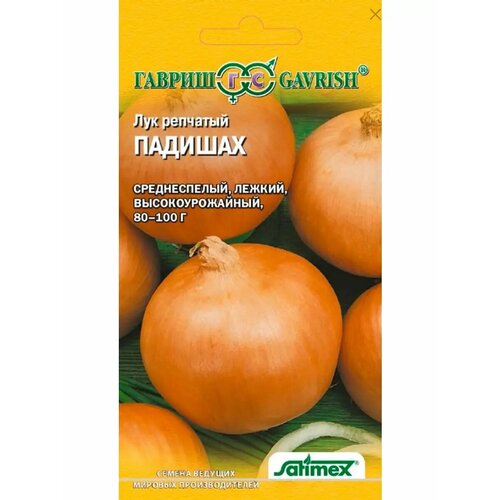 ���� ��� 