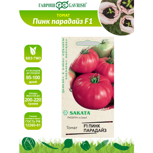 ���� ������ ����� ���� �������� F1 Sakata 5 ��. ������ ������