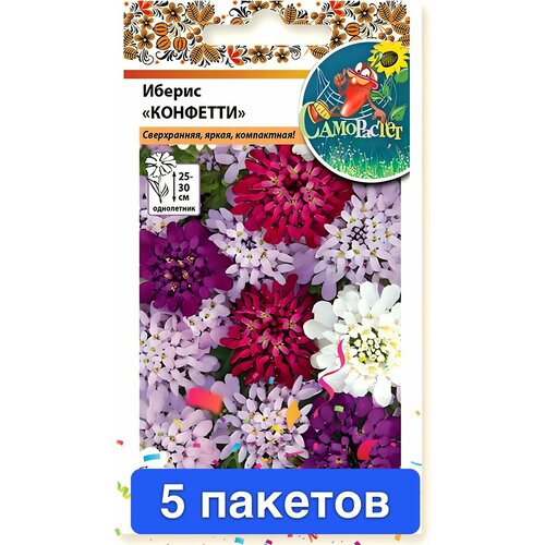 ���� ����� ������ ������ �������� 5 ������� ������ ������