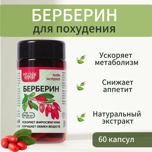 ���� �������� (�������� ���� ���������), ��� ���������, 60 ������ �� 400 �� - ������� ����� ������ ������